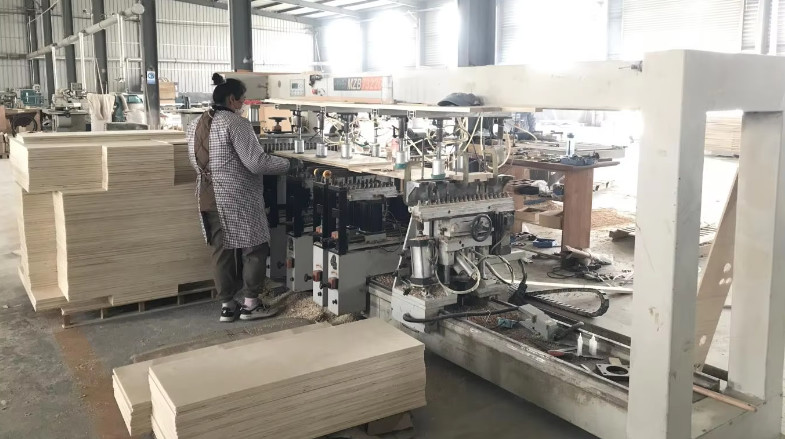 Qingdao Vitalucks Trade Co., Ltd. γραμμή παραγωγής εργοστασίων