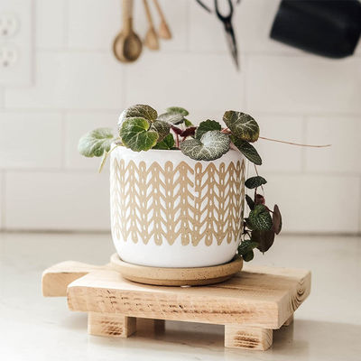 Φυτικό λάδι υλικό ξύλινο βάθρο στέκεται Δείκτη δίσκο Προσαρμοσμένο λογότυπο αποδεκτό