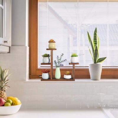 Στρατόπεδο περιβαλλοντικού φύλλου Κρατητή ράφι