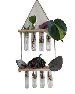 202407 Σταθμός πολλαπλασιασμού φυτών για φυτά υδροπονικής καλλιέργειας σε βάζα OEM Σταθμός εκκίνησης