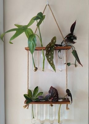 202407 Σταθμός πολλαπλασιασμού φυτών για φυτά υδροπονικής καλλιέργειας σε βάζα OEM Σταθμός εκκίνησης