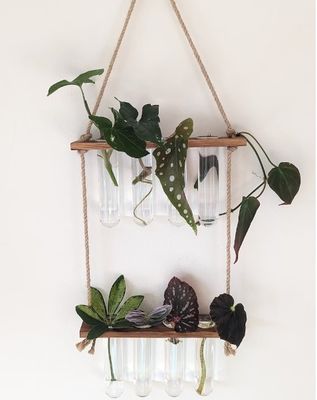 202407 Σταθμός πολλαπλασιασμού φυτών για φυτά υδροπονικής καλλιέργειας σε βάζα OEM Σταθμός εκκίνησης