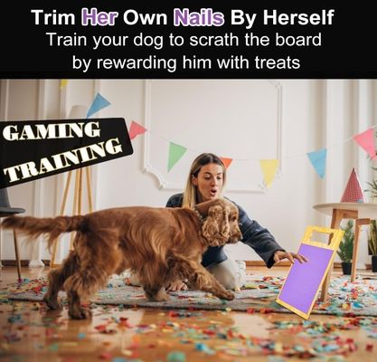 Πλακέτο νυχιών σκύλων Γράψιμο Pad Υψηλή ποσότητα πλεονέκτημα για σκύλους νυχιών γλιτώντας νυχιών