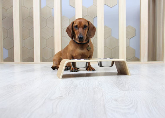 202407 Δώρο για κατοικίδια Προσαρμοσμένο ξύλινο σταθμό με δύο μπολ από ανοξείδωτο χάλυβα