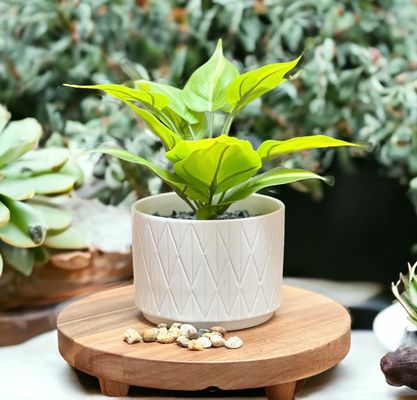 Ακακία ξύλινος ανυψωτήρας στρογγυλό βάθρο βάθρο ξύλινο βάθρο για την οθόνη της κουζίνας