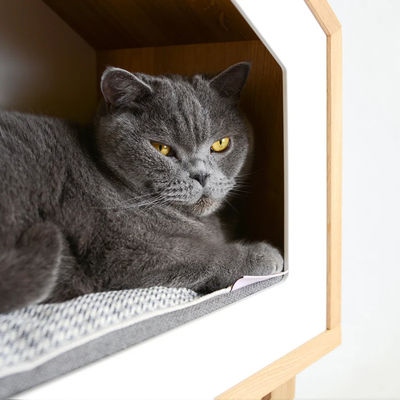 Κατοικία γάτας σε εσωτερικό δέντρο βελανιδιάς ξύλο γάτα στο χρώμα φυσικού ξύλου με δοχεία αποθήκευσης