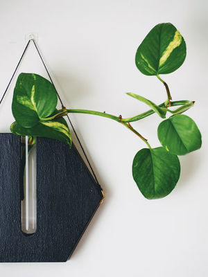 Σταθμός πολλαπλασιασμού Μοντέρνο μίνι ξύλινο κουτί τοίχωμα φυτεύτη για βάζες βεράντα και τοίχου διακόσμηση