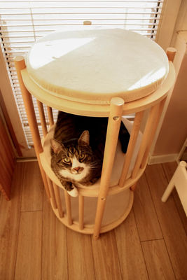 Λειτουργία εξοικονόμηση χώρου Στερεό ξύλο φωλιά γάτας 2ος βαθμός έπιπλα γάτας δέντρο σπίτι γάτας σπηλιά κρεβάτι