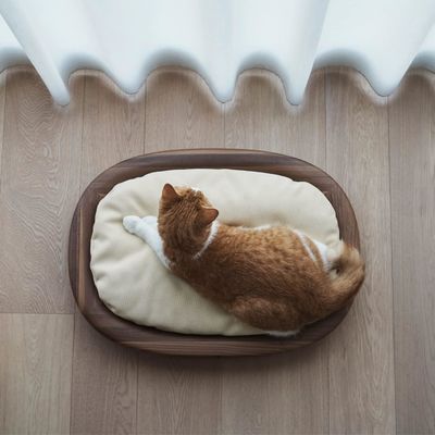 Καθαρό ξύλινο τετράγωνο κρεβάτι για κατοικίδια ζώα με αντιγλιστρούμενο σχεδιασμό και εύκολη δομή φροντίδας