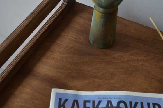 Εσωτερική καμπίνα πρέπει να έχει εξοικονομήσει χώρο με πολυτελή κατεδάφιση ξύλινο σκυλί κιβώτιο έπιπλα