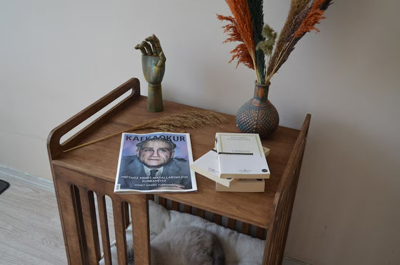 Εσωτερική καμπίνα πρέπει να έχει εξοικονομήσει χώρο με πολυτελή κατεδάφιση ξύλινο σκυλί κιβώτιο έπιπλα