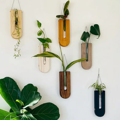 Σταθμός διάδοσης μοντέρνου σχεδιασμού για ξύλινο φυτώριο τοίχων και διακόσμηση σπιτιού