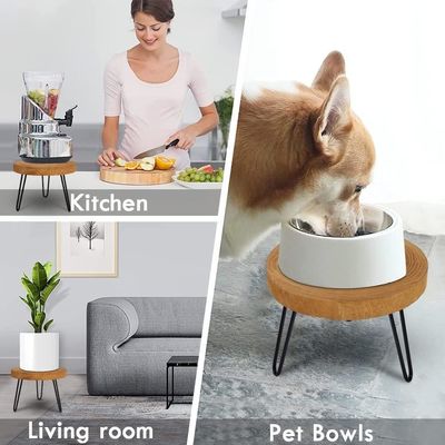 Εφοδιασμός ταχυδρομείου Y Στρογγυλό ξύλινο σταθμό φυτών για εμφάνιση σε σύγχρονα εσωτερικά