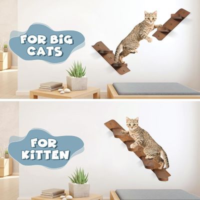 Αποχαιρετήστε τα ακατάστατα πατώματα τοίχο τοποθετημένο ράφι διατροφής γάτας με σκάλα και 2 μπολ