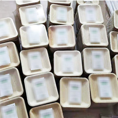 Δέκα τεμάχια παλμικά πιάτα για το γαμήλιο δείπνο Στρογγυλά και τετραγωνικά πιάτα μιας χρήσης