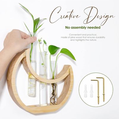 Ετήσια Ημισέληνος Τραπέζι Φεγγάρι στέκεται για εσωτερικά φυτά και διακόσμηση γραφείου