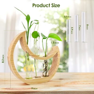 Ετήσια Ημισέληνος Τραπέζι Φεγγάρι στέκεται για εσωτερικά φυτά και διακόσμηση γραφείου