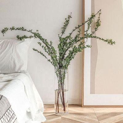 Προσαρμοσμένο οικιακό σκεύος Μεγάλο διαυγές γυάλινο βάζο για διακόσμηση σε όλες τις εποχές Διαμέτρου 10-20cm