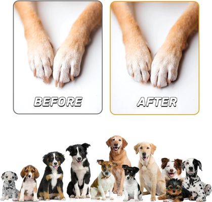 Οικιακό ξύλινο σκυλί για τη φροντίδα των νυχιών Scratch Pad με κουτί σνακ Δωρεάν δείγμα χρέωσης