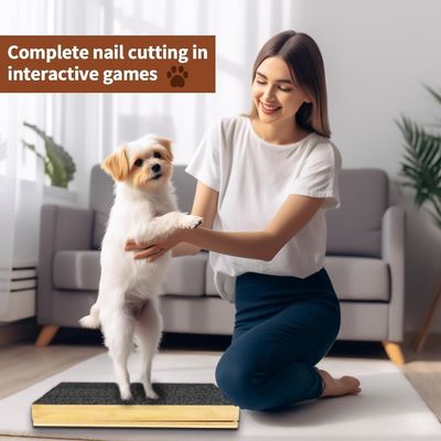 Γάτσος/σκύλος Scratch Pad με αφαιρούμενο κάλυμμα και ρυθμιζόμενο νυχτικό δίσκο σε διαφορετική γωνία