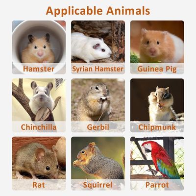 Πλατφόρμα στάθμευσης για χάμστερ Ασκήσεις Παιχνίδι Κλουβί Συσκευές με τύπου κλεισίματος με σπρώξιμο