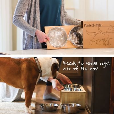 Μεσαίο σκυλί ανυψωμένο μπολ στέκεται 7 ανυψωμένα μπολ τροφοδότης κατοικίδιων ζώων με τέσσερα μπολ από ανοξείδωτο χάλυβα